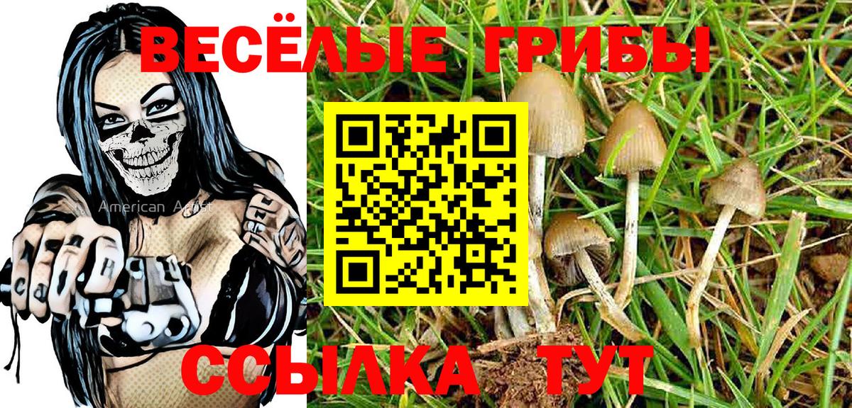Краснокамск  Псилоцибиновые грибы Cubensis  Вход с VPN 