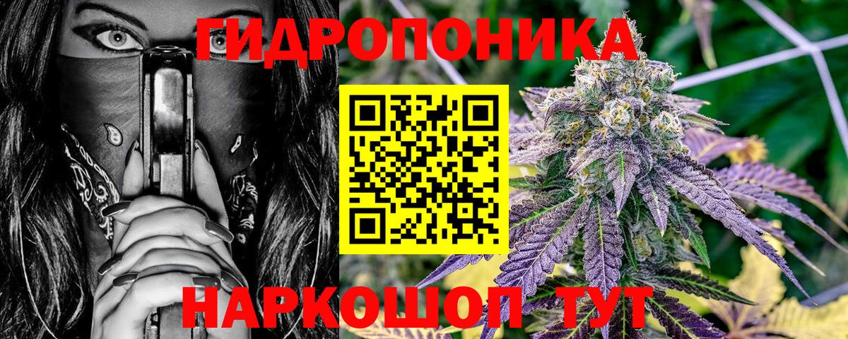Бошки марихуана OG Kush Краснокамск